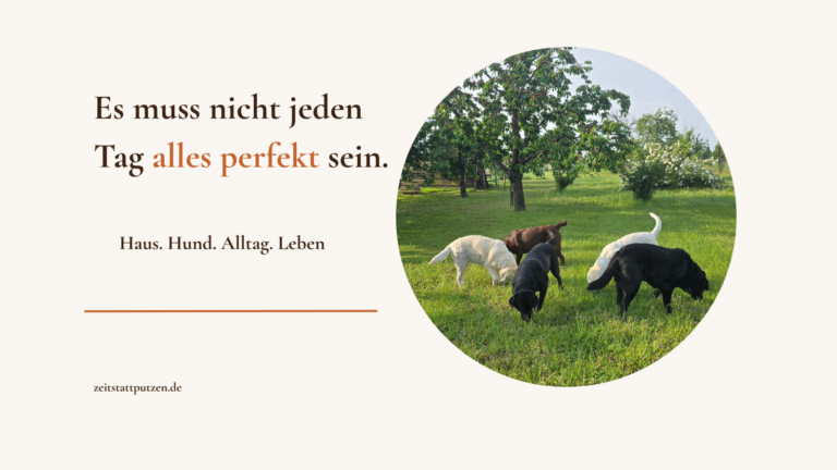 Fünf Labbis im Garten